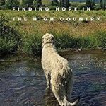 Book cover of Deep Creek: Finding Hope in the High Country by Pam Houston. The cover is a photograph of a dog in a creek looking away from us and toward a bank of high grasses. Evergreens and mountains are in the distance with a blue sky with clouds