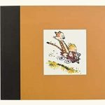 Book cover of The Complete Calvin and Hobbes Box Set by Bill Watterson. It is an orange cover with an image of Calvin and Hobbes going down a hill - fast.