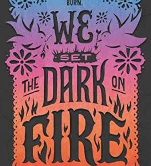 We set the dark on fire (2019) By Mejia, Tehlor Kay