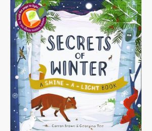 Secrets of Winter: A Shine-A-Light Book cover