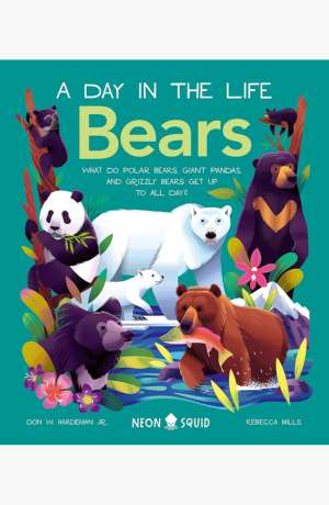 Bears [wonder book] cover