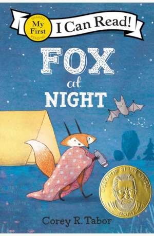 Fox at Night cover