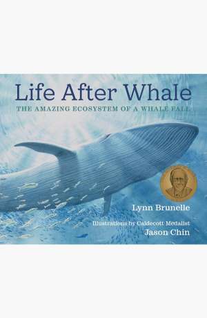 Life After Whale cover